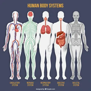 卡通人物扁平化可爱各种职业矢量素材