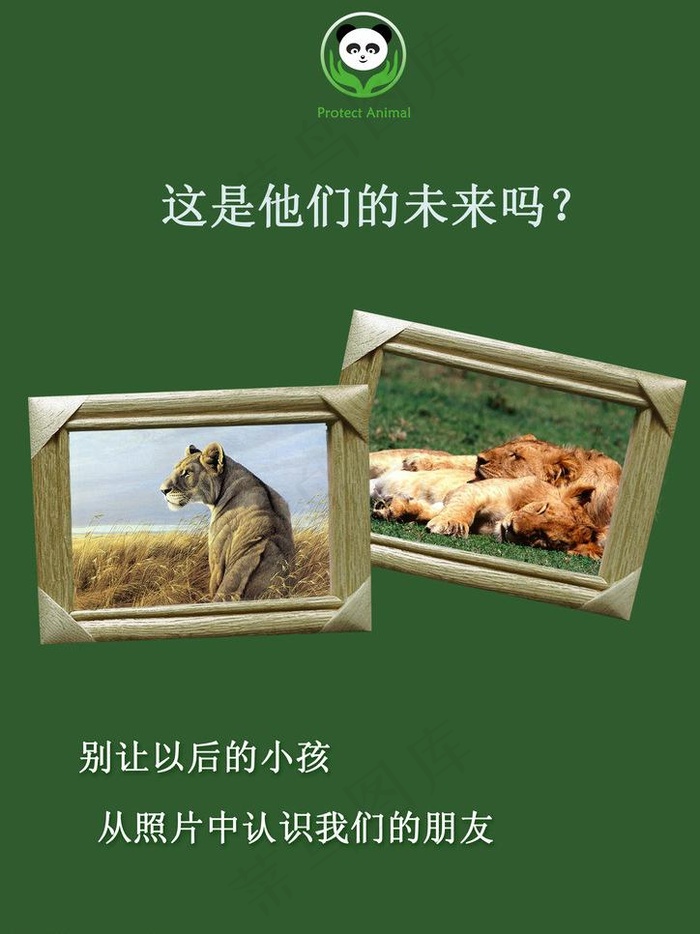 保护动物图片