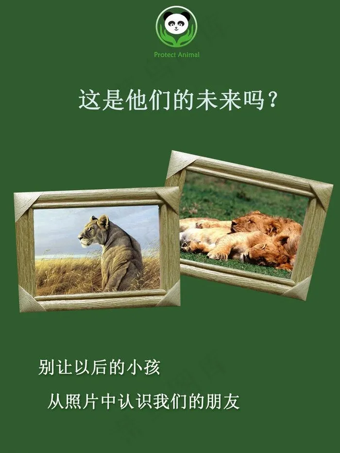 保护动物图片psd模版下载