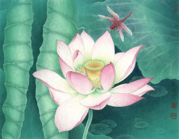 荷花蜻蜓