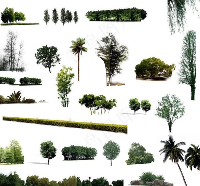 植物素材的后期图片(6000X6000(DPI:72))psd模版下载
