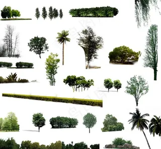 植物素材的后期图片