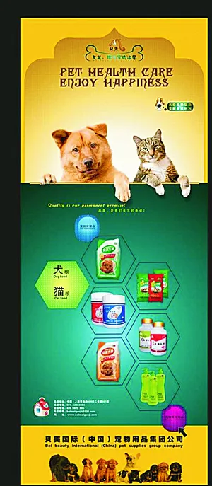 宠物海报图片