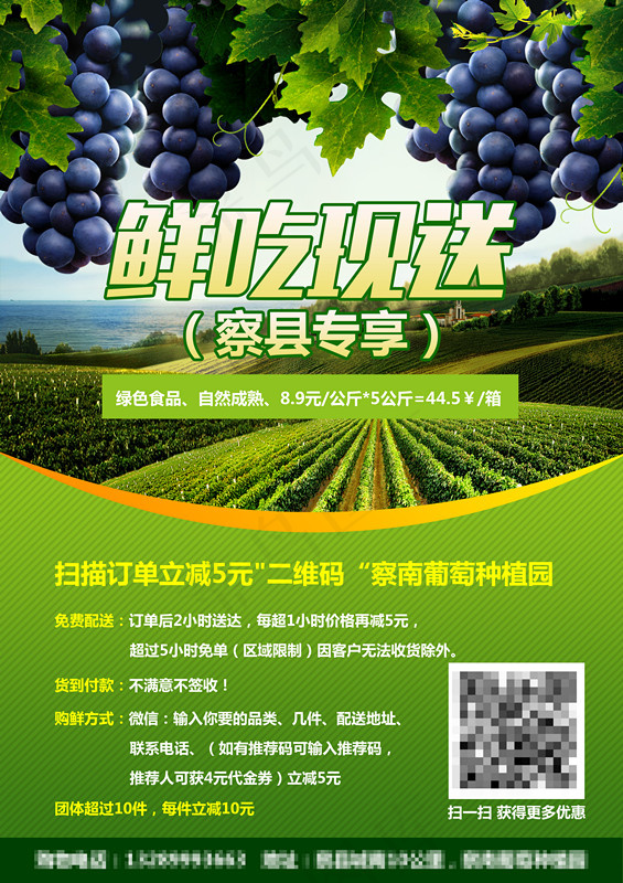 葡萄水果葡萄园葡萄宣传单(2480X3508(DPI:300))psd模版下载