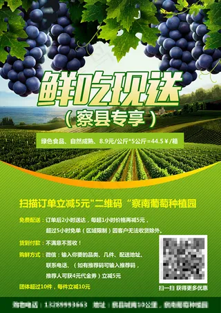 葡萄水果葡萄园葡萄宣传单