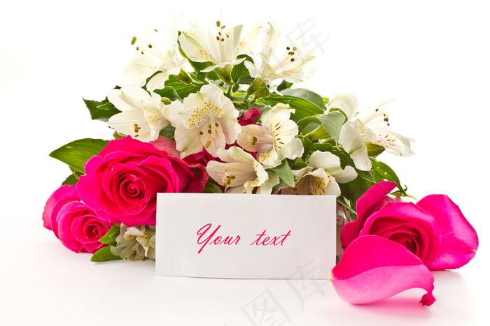 粉色玫瑰花静物设计素材