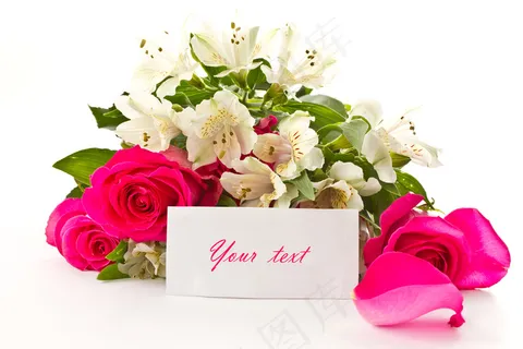 粉色玫瑰花静物设计素材