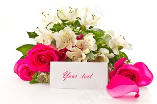 粉色玫瑰花静物设计素材