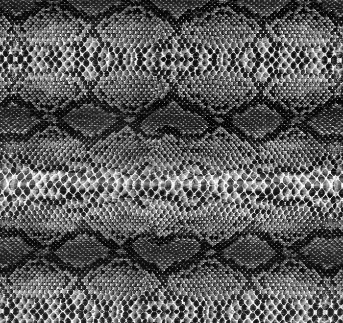 蛇皮花纹背景图片