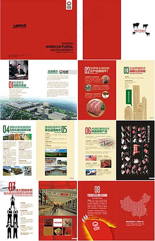 恒都农业画册