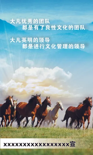 大凡优秀的团队