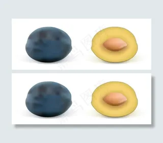 逼真水果之李子图片