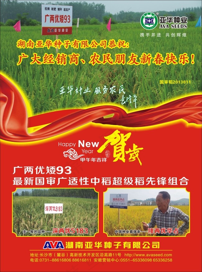 水稻单页(216X291)cdr矢量模版下载