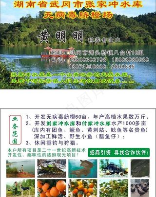 水库水果名片图片