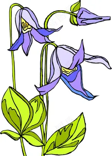 位图 植物 优雅植物 花卉 时尚休...