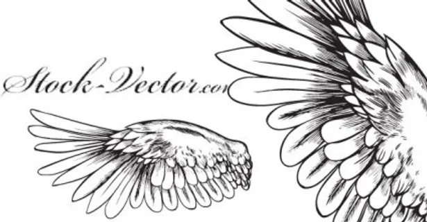 免费矢量天使的翅膀