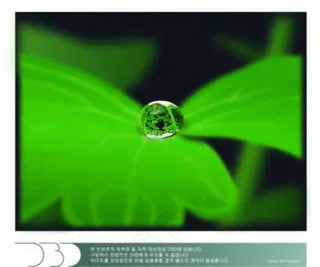 水珠里的世界植物矢量素材