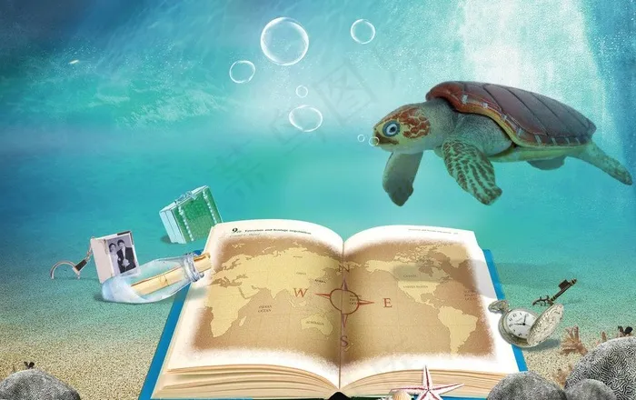 海底 海底风景图片