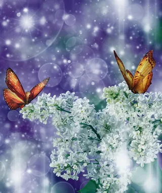 高清雪花蝴蝶图图片