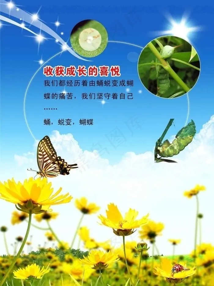 励志展板图片(1654X2339(DPI:200))psd模版下载