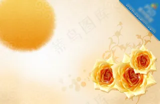 橘色玫瑰花背景素材
