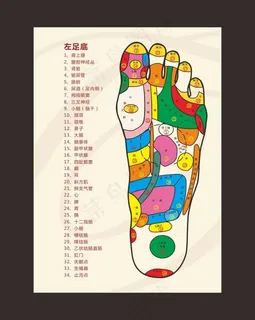 沐足反射图 沐足反射图