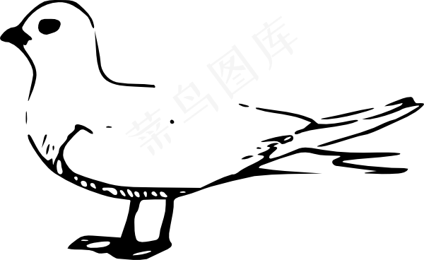 小燕鸥剪贴画