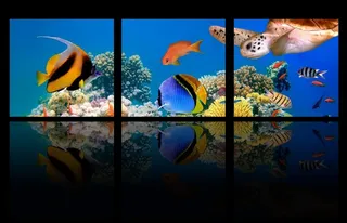 梦幻海底三联画图片