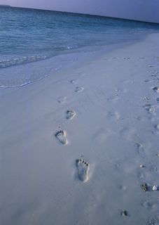 海滩上脚印图片