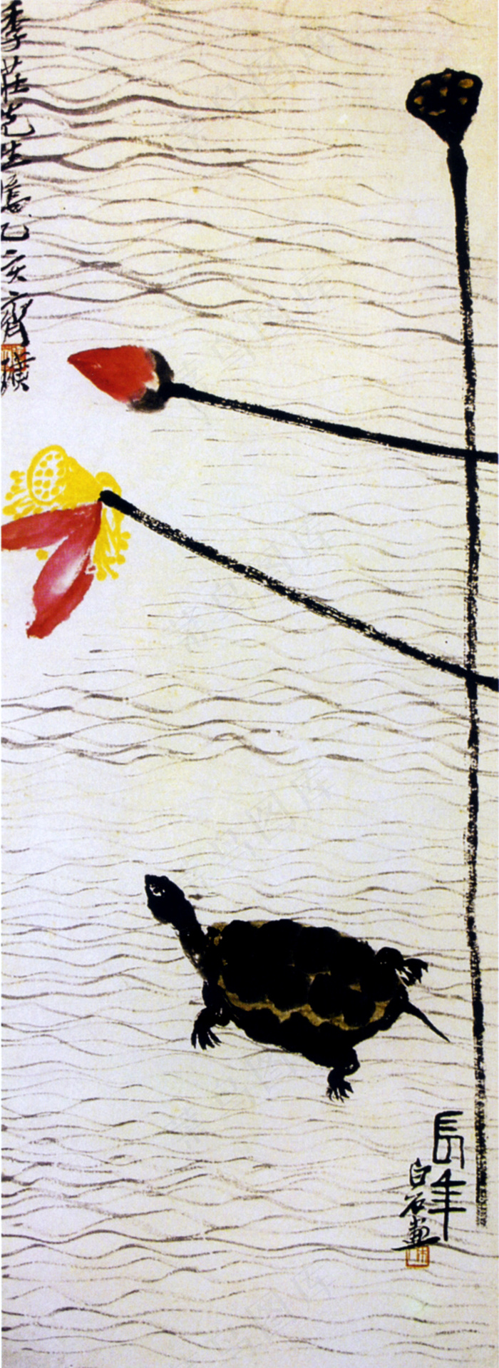 长年 荷花