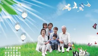 节能灯 全家福 鸟 蝴蝶 草地 蓝天 光线 树叶图片