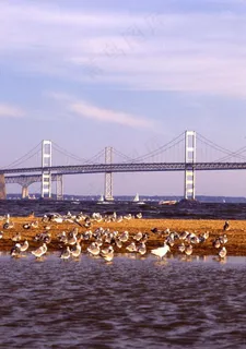 海边风光图片 海边风光图片