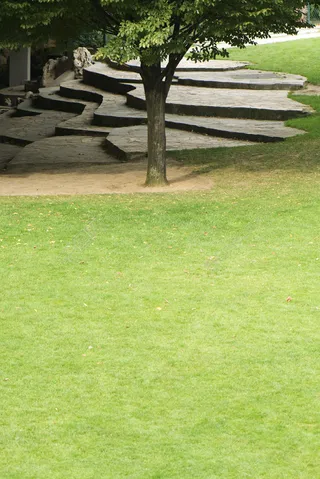 草坪上的台阶图片