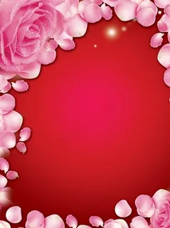 精品画册封面 精品画册封面