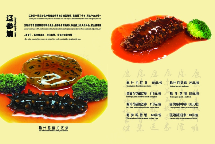 云龙湾菜谱04(6354X4252(DPI:300))psd模版下载