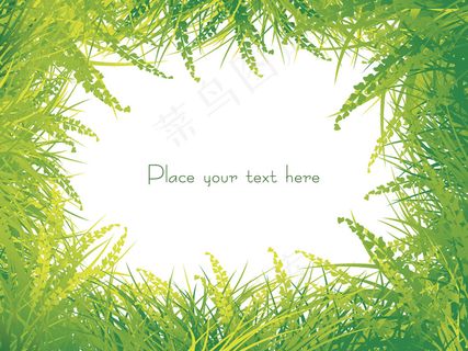 孤立的绿色草地上的白色背景