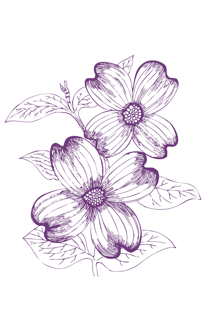 简约线条花朵黑白北欧宜家无框画装饰...