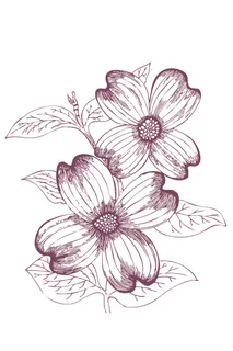 简约线条花朵黑白北欧宜家无框画装饰...