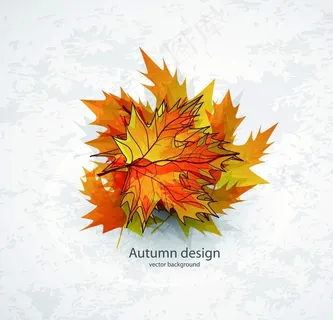 枫叶图片 枫叶图片