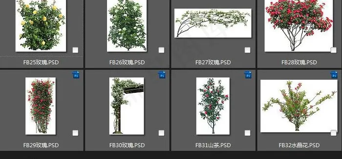 花素材图片(2195X1500(DPI:180))psd模版下载