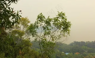 珠海景山公园图片