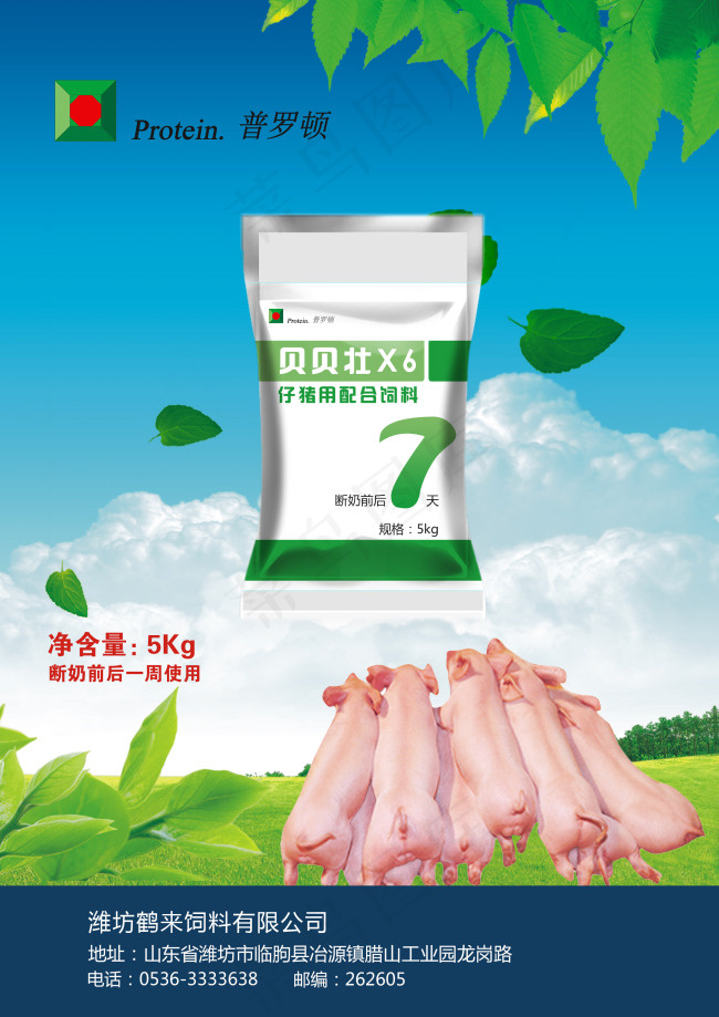 宣传页一psd模版下载
