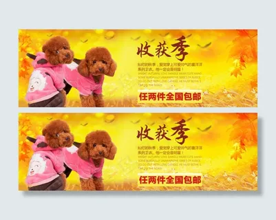 秋冬装狗狗美衣海报