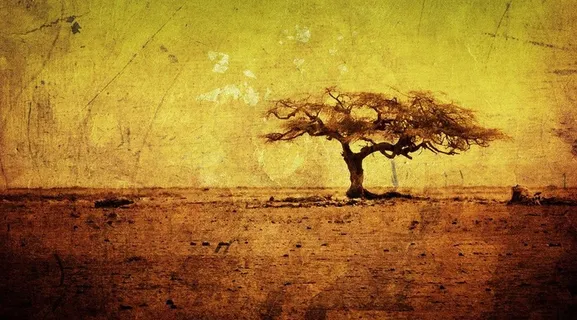 复古树背景图片