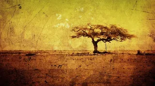 复古树背景图片