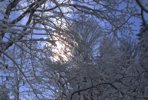 雪景 雪景