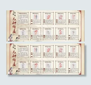 中医九种体质图片