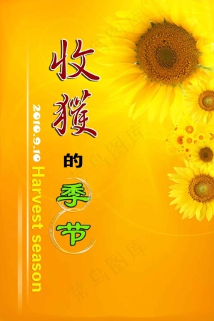 向日葵