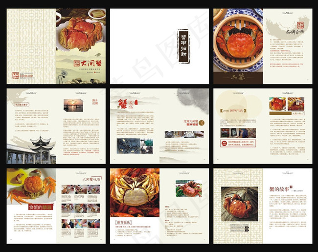 阳澄湖大闸蟹宣传画册矢量素材