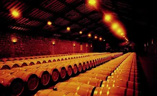 酒窖中的葡萄酒图片